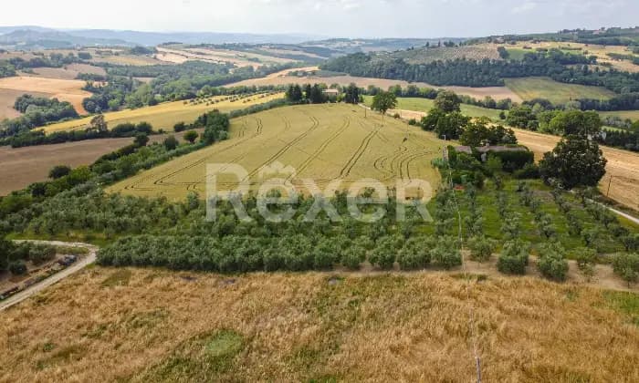 Rexer-Todi-Azienda-agraria-Altro