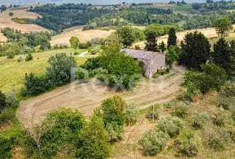 Rexer-Todi-Azienda-agraria-Altro