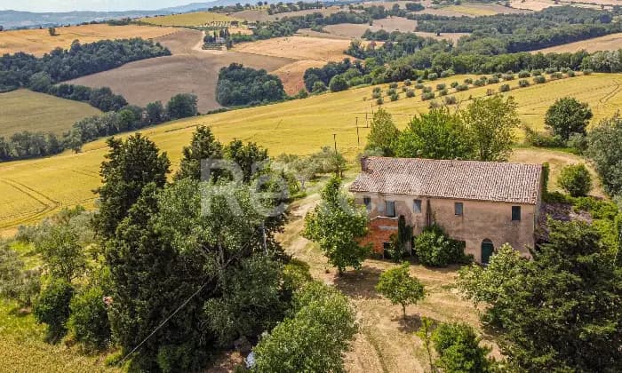 Rexer-Todi-Azienda-agraria-Altro