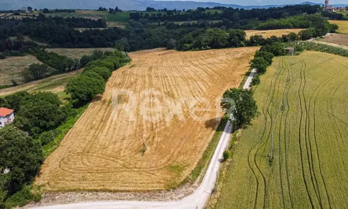 Rexer-Todi-Azienda-agraria-Altro