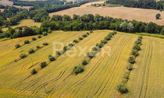 Rexer-Todi-Azienda-agraria-Altro