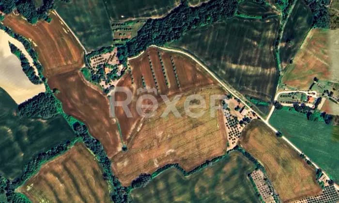 Rexer-Todi-Azienda-agraria-Altro