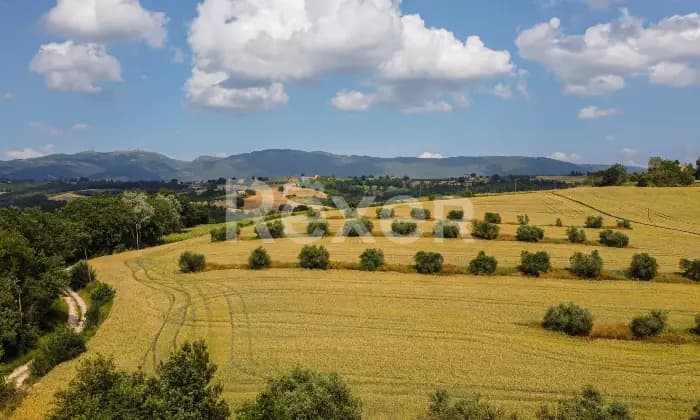 Rexer-Todi-Azienda-agraria-Altro