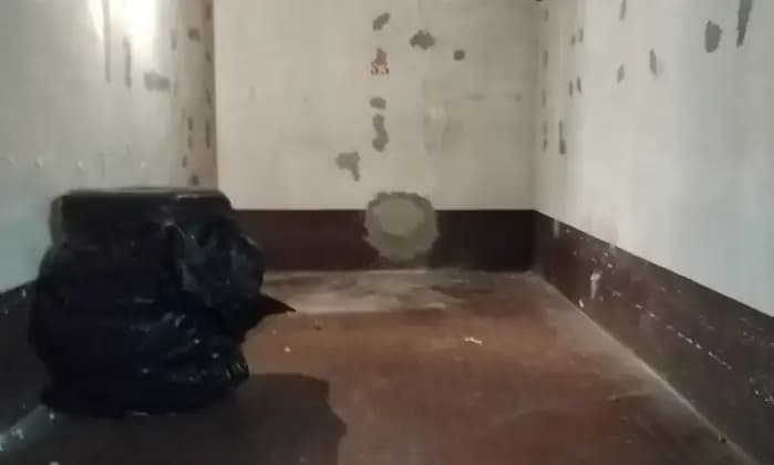 Rexer-Milano-Box-singolo-Altro