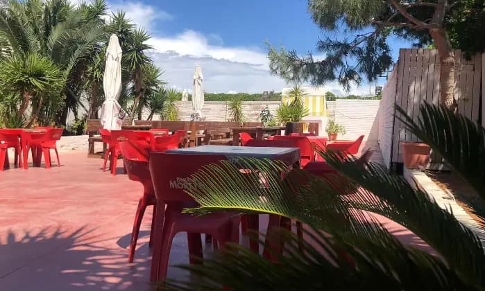 Rexer-Scoglitti-Altro