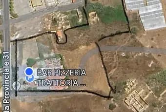Rexer-Scoglitti-Altro