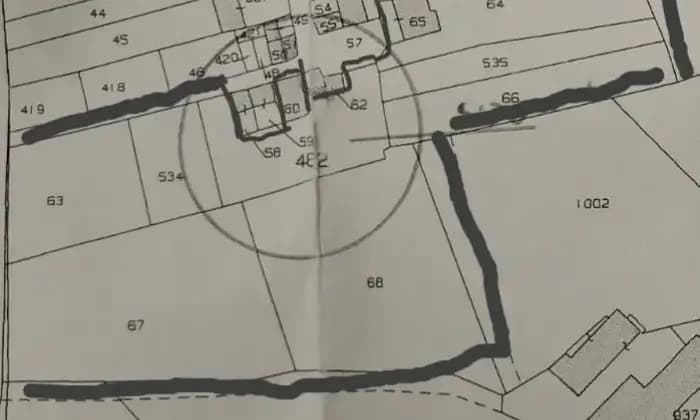 Rexer-Scoglitti-Altro