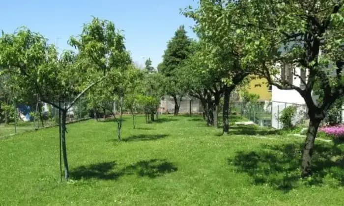 Rexer-Parma-Privato-propone-villa-bifamiliare-indipendente-con-ampio-giardino-GIARDINO