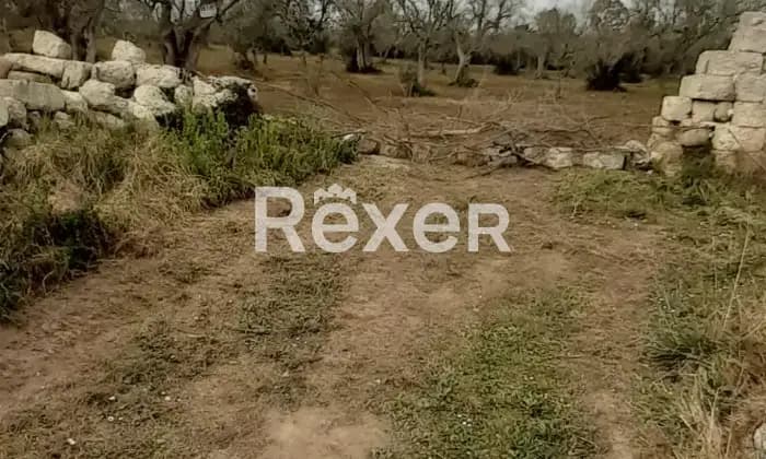 Rexer-Otranto-Oliveto-Edificabile-a-minuti-da-Otranto-LEGiardino