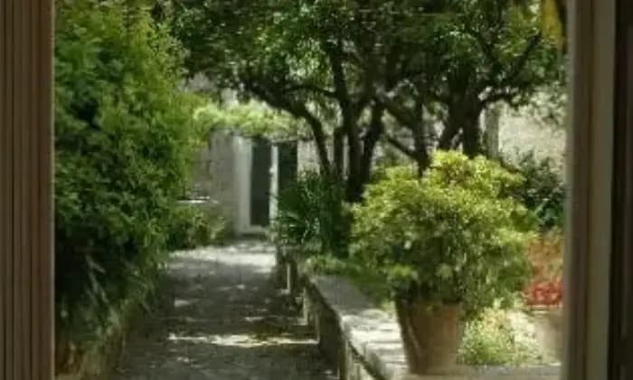Rexer-Salento-Palazzetto-del-con-giardino-privato-di-mqGIARDINO