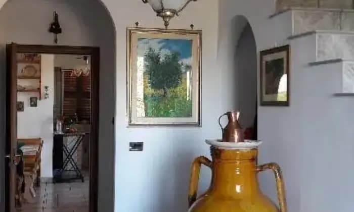 Rexer-Crispiano-Villa-panoramica-ALTRO