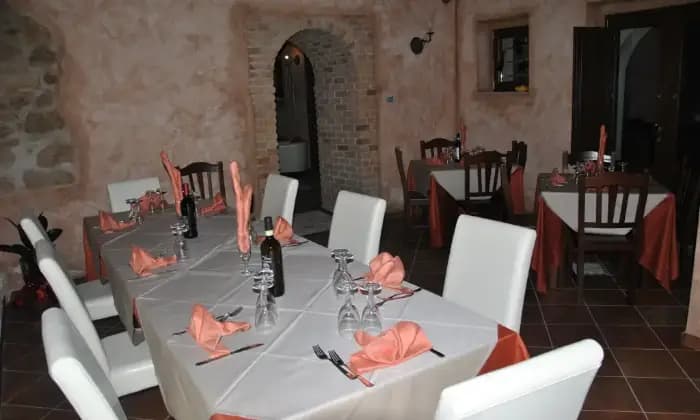 Rexer-Montemarano-Struttura-per-agriturismoristorante-SALONE