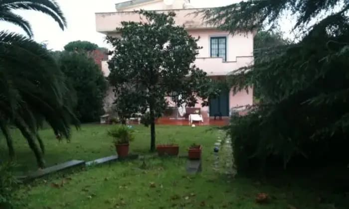 Rexer-Anzio-Villa-con-giardino-GIARDINO