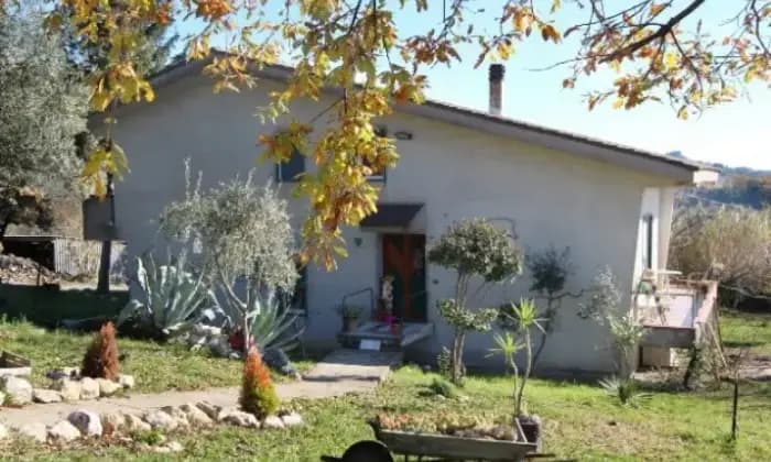 Rexer-Cerreto-Sannita-Villa-indipendente-con-uliveto-e-vigneto-ALTRO