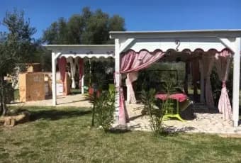 Rexer-Olbia-Villa-della-tranquillit-in-affitto-GIARDINO