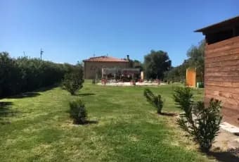 Rexer-Olbia-Villa-della-tranquillit-in-affitto-GIARDINO