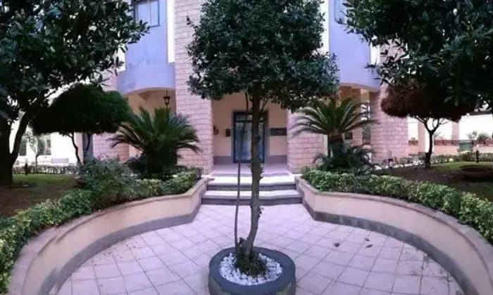 Rexer-SantAntimo-Affitto-ufficionegozio-sito-in-bel-palazzo-curato-con-ampio-giardino-GIARDINO