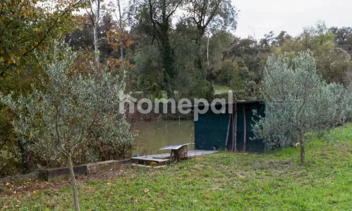Rexer-Lonato-del-Garda-Villa-vista-lago-con-piscina-e-uliveto-Desenzano-del-Garda-PARCO