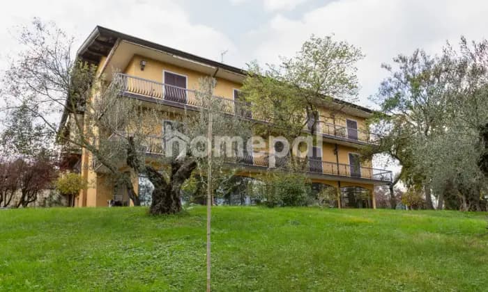 Rexer-Lonato-del-Garda-Villa-vista-lago-con-piscina-e-uliveto-Desenzano-del-Garda-GIARDINO