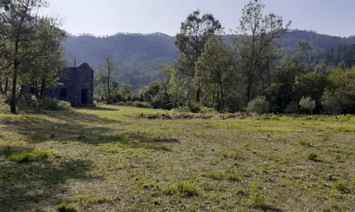 Rexer-Carrodano-Ad-un-passo-dalle-Terre-SALONE