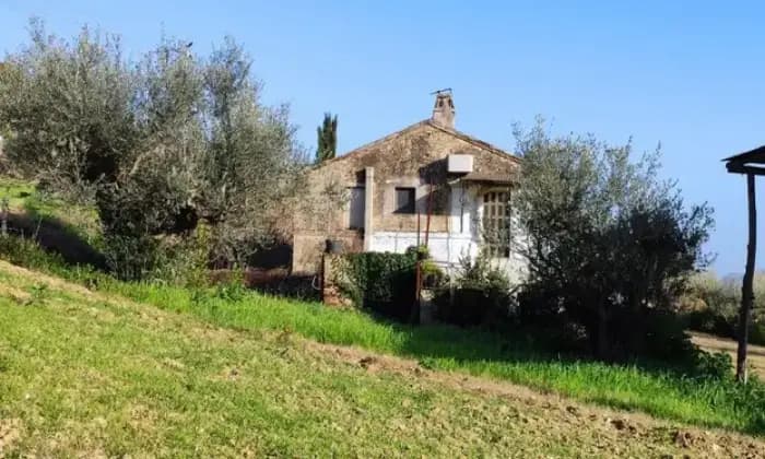 Rexer-Massignano-Casa-colonica-e-terreno-in-vendita-in-contrada-marezi-ALTRO