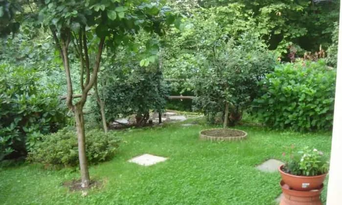 Rexer-Mollia-Bilocale-con-giardino-GIARDINO