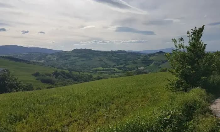 Rexer-SantAngelo-in-Pontano-Rustico-Casale-in-Vendita-in-Contrada-Santa-Maria-Maddalena-a-SantAngelo-in-Pontano-ALTRO