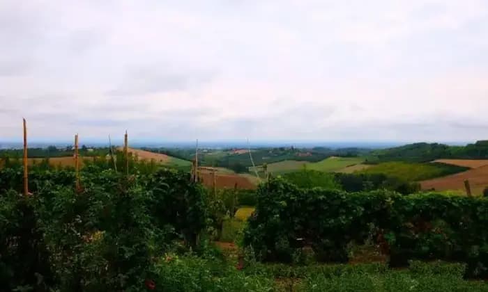 Rexer-Cuccaro-Monferrato-Intero-stabile-sulle-colline-del-MonferratoALTRO