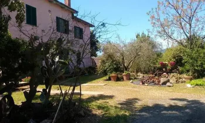 Rexer-Castiglione-della-Pescaia-Casa-a-Castiglione-della-Pescaia-ALTRO