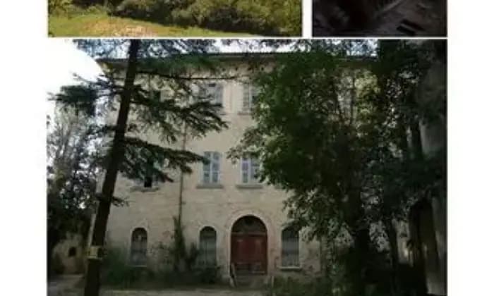 Rexer-Roccafluvione-Vendesi-Azienda-agricola-montana-a-Roccafluvione-AP-ALTRO