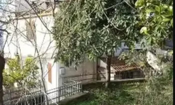 Rexer-Pontecorvo-Casa-indipendente-in-vendita-a-SantOliva-Pontecorvo-Terrazzo