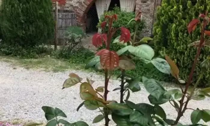 Rexer-Torrita-di-Siena-Azienda-agricola-e-turistica-Giardino