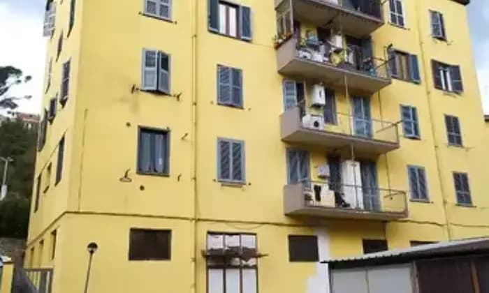 Rexer-Frosinone-Appartamento-ristrutturato-in-vendita-a-FROSINONE-FR-Giardino