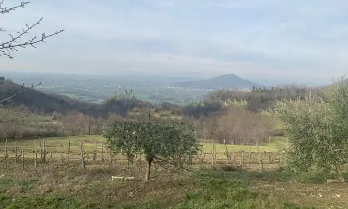 Rexer-Este-Villa-unifamiliare-via-Isabella-dEste-Meggiaro-Basso-Este-Terrazzo