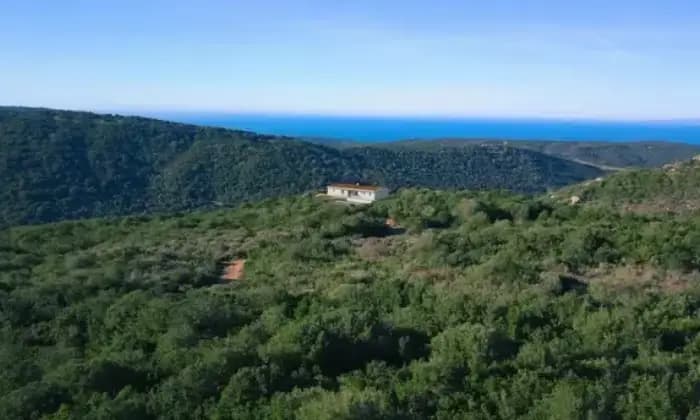 Rexer-Luogosanto-Vendesi-Villa-Sardegna-vista-mare-con-terreno-di-ettari-Vista