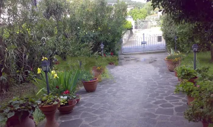 Rexer-Massarosa-Villa-unifamiliare-via-di-Mezzo-Bozzano-Quiesa-Massarosa-Giardino