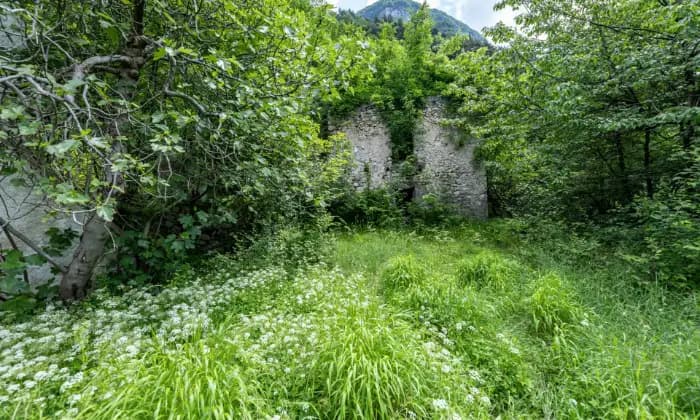 Rexer-Grigno-Villetta-e-rudere-da-ristrutturare-immersi-nel-verde-RUSTICO