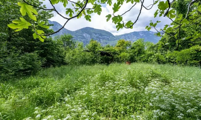 Rexer-Grigno-Villetta-e-rudere-da-ristrutturare-immersi-nel-verde-GIARDINO