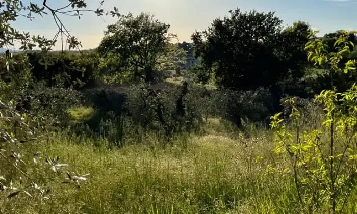 Rexer-Narni-Vendesi-Terratetto-plurifamiliare-Strada-di-Massa-Narni-Altro