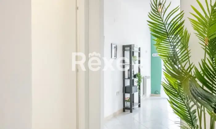 Rexer-Montalcino-Appartamento-con-ingresso-indipendente-appena-ristrutturato-con-vista-sulla-Val-dOrcia-CUCINA