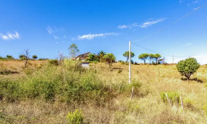 Rexer-Castelvetere-sul-Calore-Villa-Bifamiliare-in-vendita-a-Castelvetere-sul-calore-ESTERNO