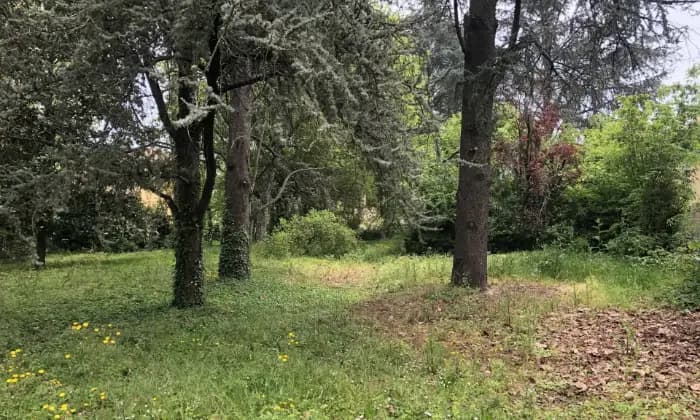 Rexer-Budrio-Splendida-villa-con-parco-Terrazzo