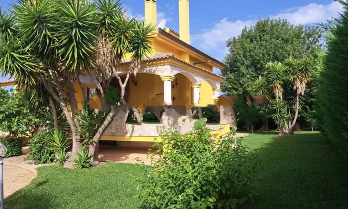 Rexer-Olmedo-Vendesi-Villa-in-Via-Joyce-LussuOlmedo-Giardino