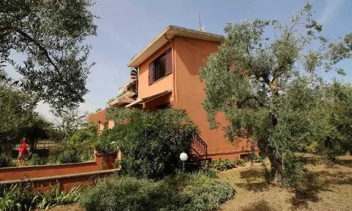 Rexer-Graffignano-Villa-unifamiliare-Localit-Litigata-Graffignano-Giardino