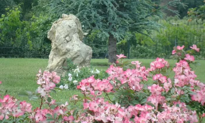 Rexer-Cerveteri-Villa-ecosostenibile-con-vista-mare-Giardino