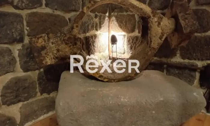 Rexer-Roccastrada-Il-mulino-e-la-ferriera-di-Torniella-Altro
