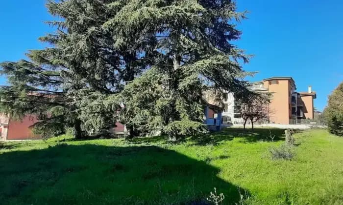 Rexer-Rignano-Flaminio-Villa-in-vendita-in-via-E-Torricelli-a-Rignano-Flaminio-Terrazzo