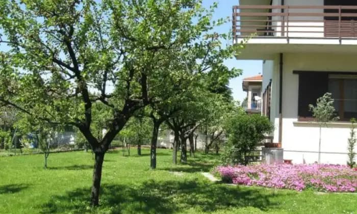 Rexer-Parma-Privato-propone-villa-bifamiliare-indipendente-con-ampio-giardino-GIARDINO