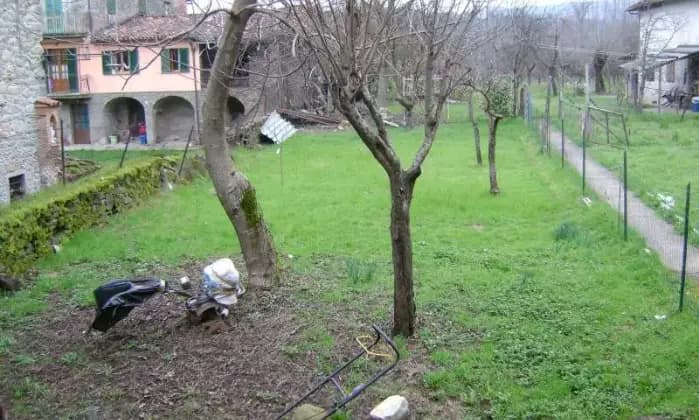 Rexer-Pieve-Fosciana-Appartamento-con-cantina-e-giardino-GIARDINO