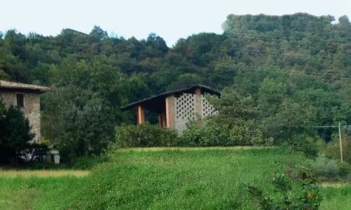 Rexer-Albano-SantAlessandro-Cascina-GIARDINO